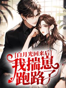 白月光回来后,我揣崽跑路了 封面
