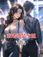 我老婆是空姐 封面