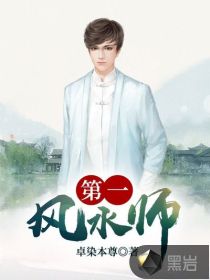 第一风水师 封面