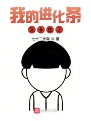 我的进化条又卡住了 封面