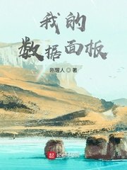 我的数据面板 封面