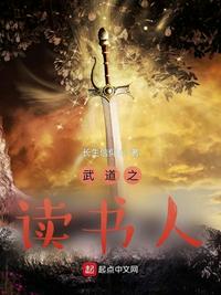 武道之读书人 封面