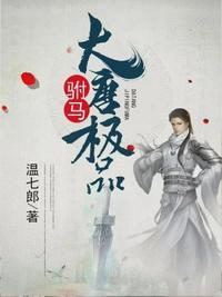 大唐极品驸马 封面