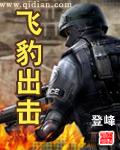 飞豹出击 封面