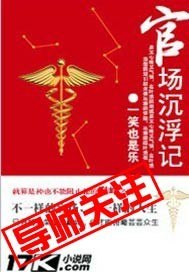 官场沉浮记 封面