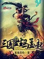 三国重生马孟起 封面