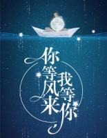 你等风来我等你 封面