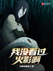 我没看过火影啊 封面