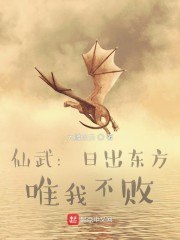 仙武：日出东方，唯我不败 封面