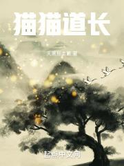 猫猫道长 封面