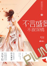 不言盛景，不叙深情 封面