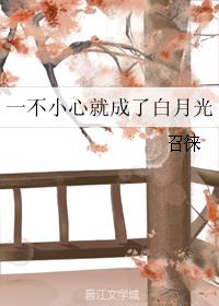 一不小心就成了白月光 封面