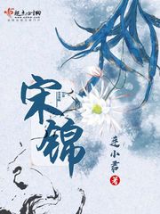 宋锦 封面