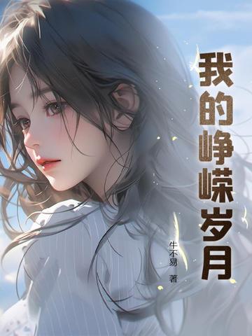 我的峥嵘岁月 封面