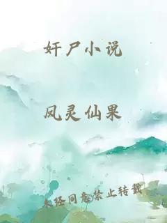 奸尸小说 封面