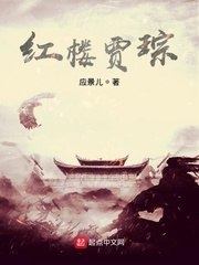红楼贾琮 封面
