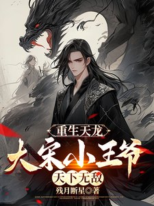 重生天龙,大宋小王爷,天下无敌 封面