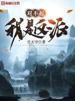 对不起，我是反派 封面