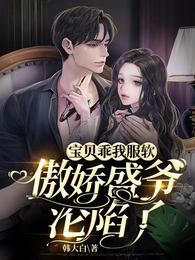 宝贝乖我服软,傲娇盛爷沦陷了 封面