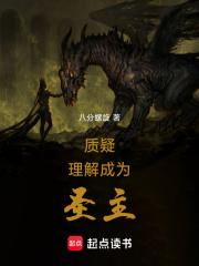 质疑,理解,成为圣主 封面