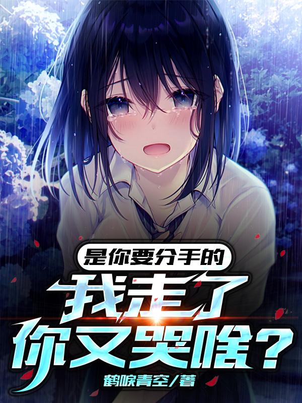 是你要分手的，我走了你又哭啥？ 封面