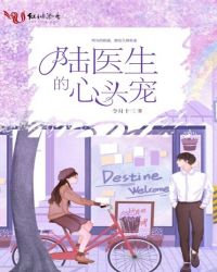 陆医生的心头宠 封面
