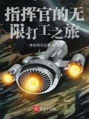 指挥官的无限打工之旅 封面