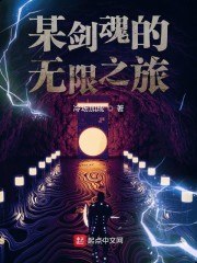 某剑魂的无限之旅 封面