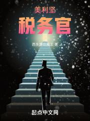 美利坚税务官 封面