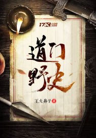 道门野史 封面