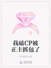 我磕CP被正主抓包了 封面
