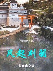 风起刈羽 封面