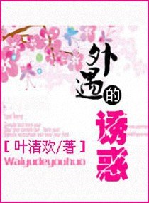外遇的诱惑 封面