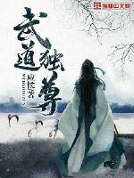 武道独尊 封面