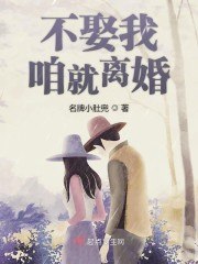 不娶我咱就离婚 封面