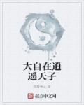 大自在逍遥天子 封面