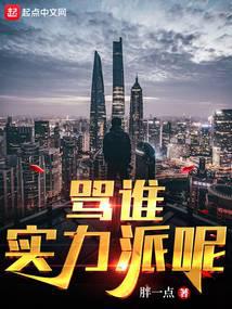 骂谁实力派呢阅读 封面
