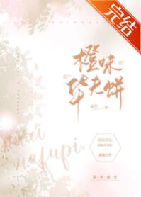 橙味华夫饼 封面