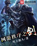 网游秩序之剑 封面