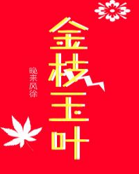 金枝玉叶 封面