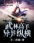 武林高手异界纵横 封面