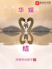 华娱爷青结 封面