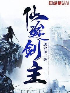 仙途剑主 封面