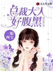 一胎两宝:总裁大人好腹黑 封面