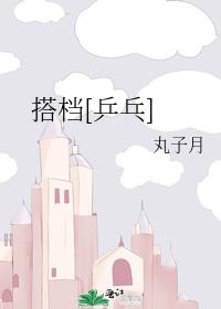 搭档[乒乓] 封面