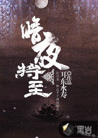 暗夜将至 封面