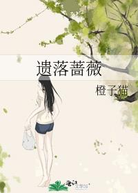 遗落蔷薇 封面