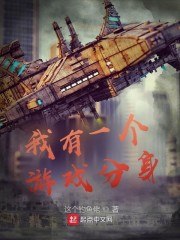 我有一个游戏分身 封面