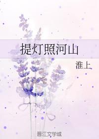 提灯照河山 封面