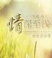 情深至浅(军旅高干) 封面